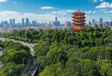 球探网足球直播比分-球探网足球直播比分，球迷的实时观赛神器与数据宝库