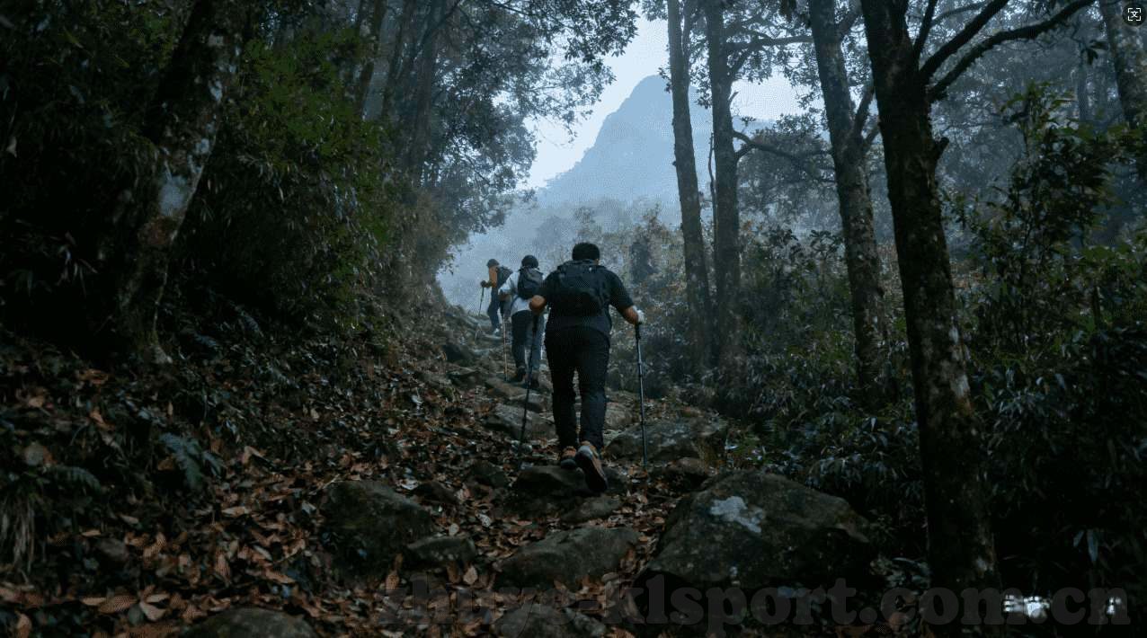 qq世界杯竞猜彩票-qq世界杯竞猜彩票，一场激情与智慧的碰撞
