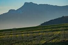 昨日足球温哥华比分-温哥华之夜，足球激情与比分背后的深度剖析